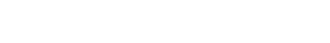 Online precision - Logo compleet - Wit